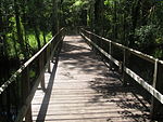 Bridge over Moore's Creek in Pender County, NC IMG 4464